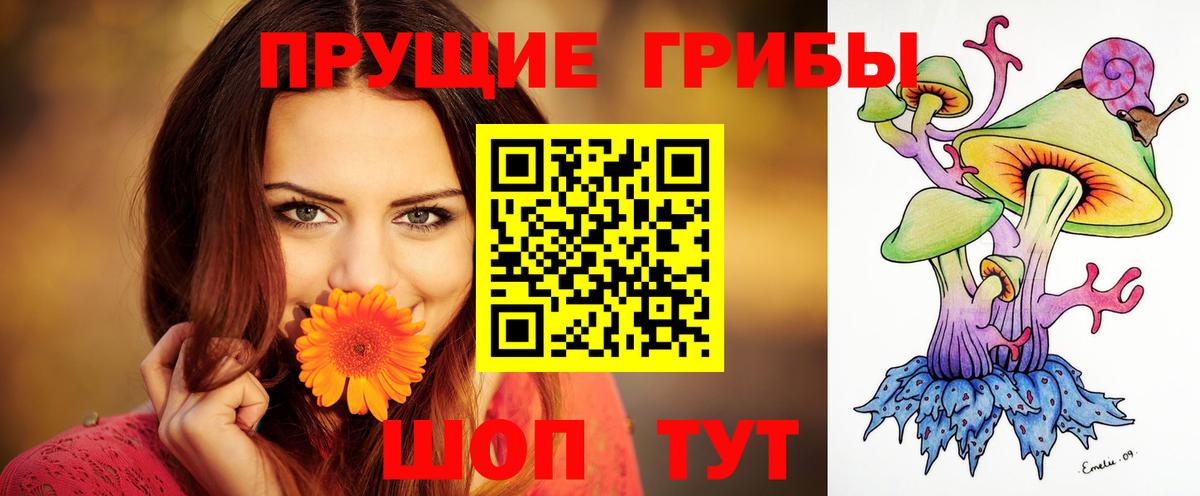 Семёнов  Псилоцибиновые грибы Cubensis  Вход с VPN 