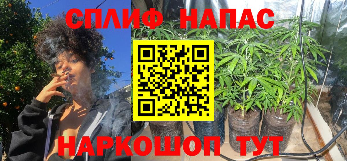 Бошки марихуана OG Kush  Вход с VPN  Марихуана Bruce Banner  Марихуана конопля  Семёнов 